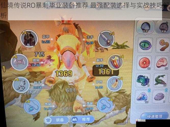 仙境传说RO暴刺毕业装备推荐 最强配装选择与实战技巧解析