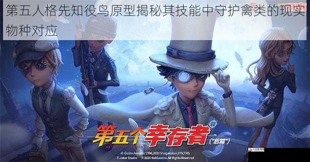 第五人格先知役鸟原型揭秘其技能中守护禽类的现实物种对应