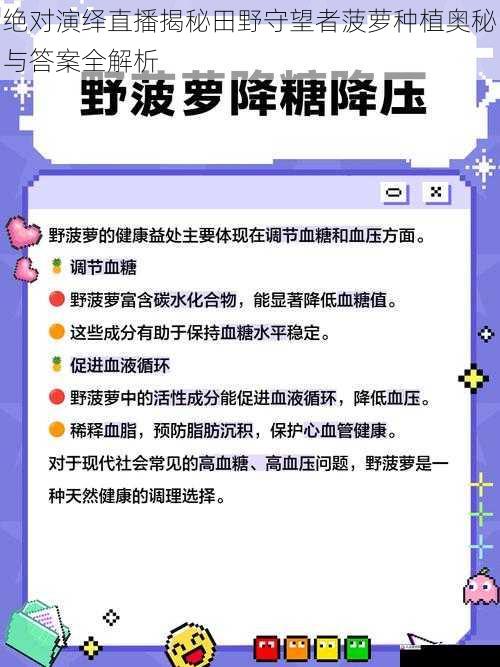 绝对演绎直播揭秘田野守望者菠萝种植奥秘与答案全解析