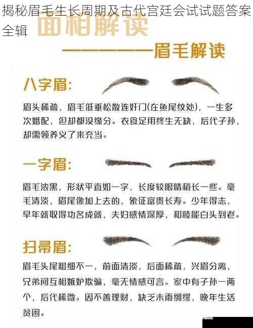 揭秘眉毛生长周期及古代宫廷会试试题答案全辑