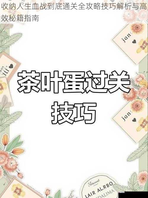 收纳人生血战到底通关全攻略技巧解析与高效秘籍指南
