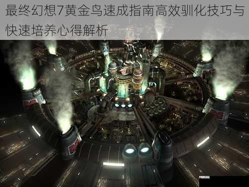 最终幻想7黄金鸟速成指南高效驯化技巧与快速培养心得解析